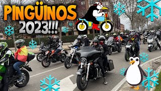 LOCURA EN PINGÜINOS 2023 LA CONCENTRACIÓN DE MÁS DE 40000 MOTEROS 🥶 [upl. by Neyr498]