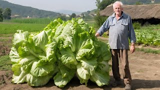 Kad OVO sipam u zemlju jesenska salata eksplodira od rasta [upl. by Savill]