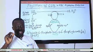 G6PD Part 2 [upl. by Daphne]