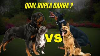 Doberman e Pastor Alemão vs Rottweiler e Pitbull Qual Dupla Ganha [upl. by Akilat]