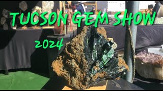 Tucson Gem amp Mineral Show GIGM 2024 [upl. by Ahsuas]