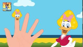 Finger Family Donald Duck Finger Family Finger Family Songs Finger Family Parody [upl. by Adlig]