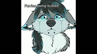 Anti Furry Meme 1 antifurry furries memes [upl. by Asilem791]