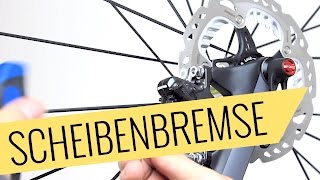 Fahrrad Scheibenbremse einstellen  Quietschen amp Schleifen beheben  Fahrradorg [upl. by Nerval399]