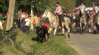 BARBENTANE BANDIDO PARCOURS OUVERT 11052024 ☀️ [upl. by Derward932]