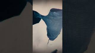 I went to Japan to buy denim so i can sew my first jeans jeans diy making cinematic japan fyp [upl. by Eiznikam954]