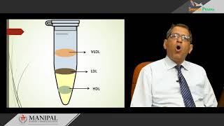 51 Lipoprotein structure chemistry and functions [upl. by Charlton]