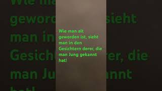 Rapunzula‘s Spruch 137 [upl. by Annawt]