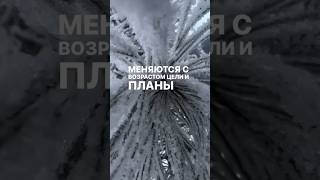 Меняет нас наша дорога стихи поэзия shortsvideo тренды жизнь смыслжизни природа [upl. by Eiuol142]