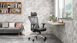 Ticova Ergonomic Office Chair Review Is It Any Good [upl. by Ayisan]