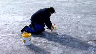 Houghton Lake 11612wmv [upl. by Etnomal]