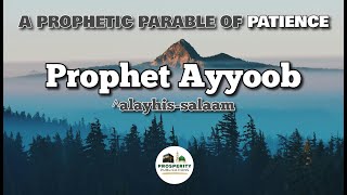 A PROPHETIC PARABLE OF PATIENCE  Prophet Ayyoob Job [upl. by Phillis]