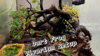 Setting Up a Dart Frog Vivarium Step by Step [upl. by Tavish227]