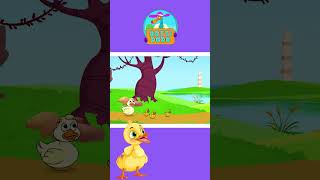 🦆Fünf kleine Enten🦆  Kinderlieder zum Mitsingen  shorts kidssongs [upl. by Viscardi]