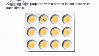 The starch amp amylase experiment [upl. by Edee]