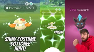 ✨LAST CHANCE For Shiny Costume Cottonee amp Shiny Flabebe In Pokemon Go✨ [upl. by Enniotna]