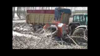 CIPPATRICE CHIPPER ENERGY 5075 TTS  GANDINI Meccanica [upl. by Averill]