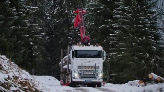 Le Nouveau Grumier des Transports Gervais en Montagne  Volvo FH16 650 [upl. by Row734]