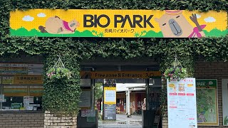 Explore Nagasaki  Nagasaki Bio Park and PAWPAW petting cafe [upl. by Nahtanha]