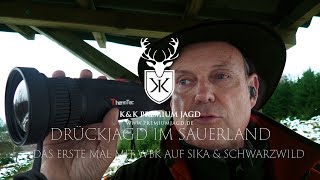 Drückjagd Sauerland auf Sika und Schwarzwild  Mit Wärmebildkamera Thermtec 670 D auf der Drückjagd [upl. by Sakul30]