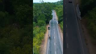 Elephant attack Habarana  Sri Lanka [upl. by Piefer]