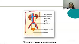 KREIS  SANKALP  10TH STD  LIFE PROCESS  S6 [upl. by Aurthur613]