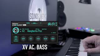 Roland ZENOLOGY Lite  BASS Solo Sounds Like This [upl. by Elag]