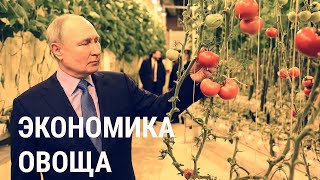 Когда у Путина закончатся деньги на войну  РЕАЛЬНЫЙ РАЗГОВОР [upl. by Nwahsaj]