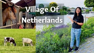 Netherlands Village Life Farms amp Animals यूरोप के गाँव और खेत  Beautiful Dutch Village  In Hindi [upl. by Ecam493]