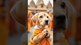 SUBSCRIBE PLEASE 🥺 DOG kutta viralvideo 1million views subscribe please mychannel TEAM DIPU [upl. by Agnes293]