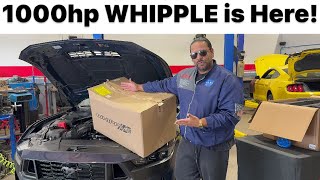 IT’s Here 1000hp Whipple for DARK HORSE MUSTANG [upl. by Yar]