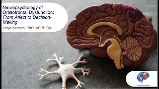 Neuropsychology of Orbitofrontal Dysfunction From Affect to DecisionMaking [upl. by Tnert342]