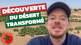 Voyage dans le désert marocain  VLOG de mon 40ème séjour avec Maroc en Conscience [upl. by Itirp210]