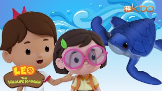 Leo the Wildlife Ranger  Why do BABY TURTLES Need to be PROTECTED🐢 Full Episode mediacorpokto [upl. by Asilim]