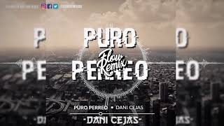 Dani Cejas  Puro Perreo  Flow Remix 2017 [upl. by Llehcor]