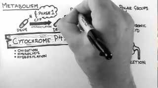 Pharmacokinetics 4  Metabolism [upl. by Arakat]