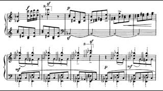 Béla Bartók  Piano Sonata 13 [upl. by Bobine]