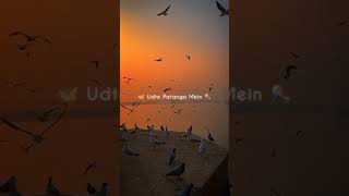 Udte Patango Mein 🪁 WhatsApp Status 🥀 Slowed And Reverb 💗 Holi Status 🦋 shorts viral [upl. by Annor]