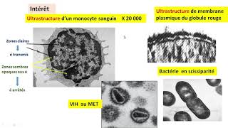 Cytologieبالعربية  2 Les méthodes détude de la cellule  Part 2 le MET [upl. by Chastain945]