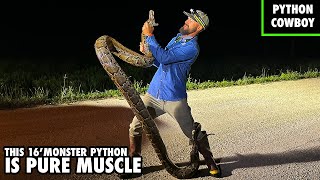 Will The Burmese Python Problem In The Florida Everglades Ever Be Resolved [upl. by Toinette]