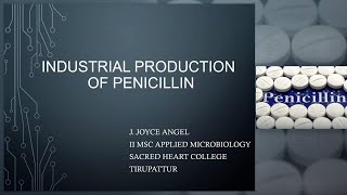 Industrial Production of Penicillin Industrial microbiology [upl. by Aehs]