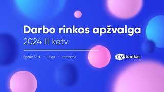 DARBO RINKOS APŽVALGA  2024 III ketvirtis [upl. by Bonnette29]