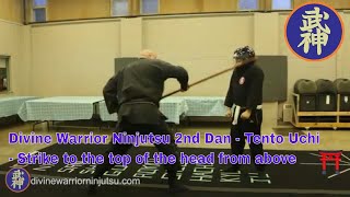 Ninjutsu 2nd Dan  131  Tento Uchi  Strike to the top of the head from above [upl. by Onairpic161]