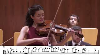 Evolution of Viola Concertos 1716  2017 [upl. by Elcarim97]