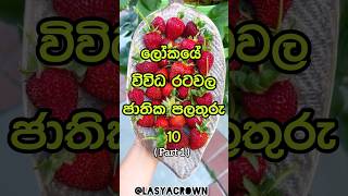 විවිධ රටවල ජාතික පලතුරු National fruits from different countries 🌍 shorts top10 viral [upl. by Nylirem]