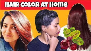 I tried Hair Color Naturally recommended by Preity Prerna [upl. by Naamana]