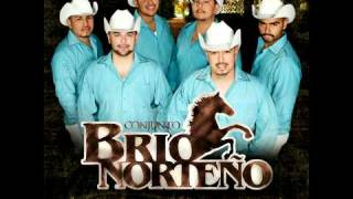 Conjunto Brio Norteno  Cumbia El Mamut [upl. by Ahsinehs]