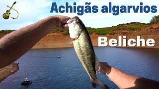 Achigãs algarvios  Pesca de pato na albufeira do Beliche [upl. by Hertzfeld]