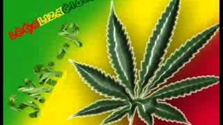 Legalizacion cannabis Ska p [upl. by Katusha22]