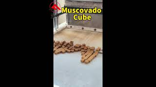 2cm cubic Muscovado making machinebrown sugar cube maker [upl. by Aduhey]